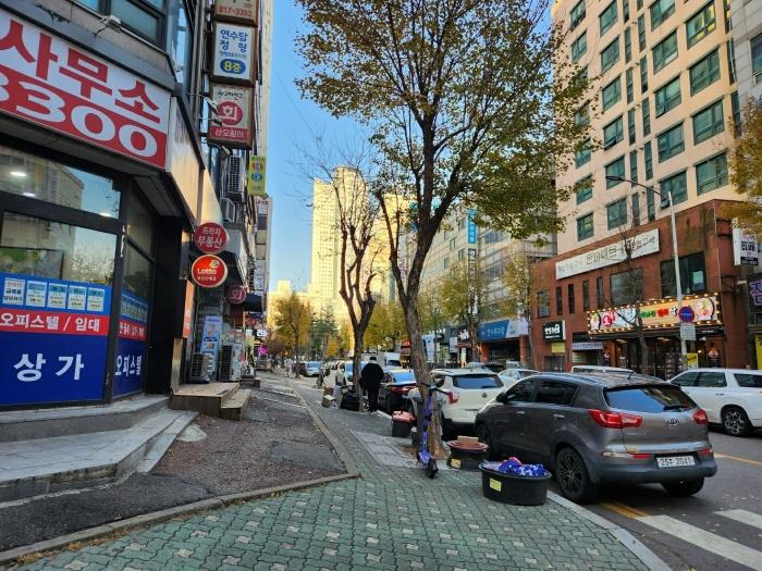 인천광역시 연수구 먼우금로 190, 5층509호 (연수동,연수프라자)구) 인천광역시 연수구 연수동 597-4 도시형생활주택 경매 사진 4