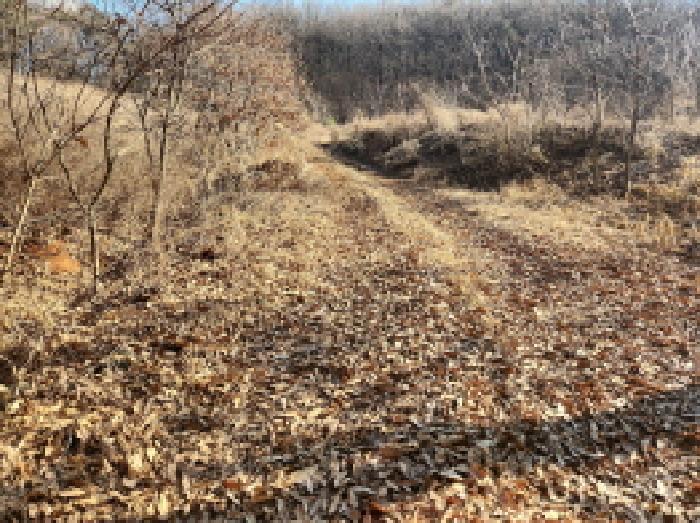 인천광역시 강화군 길상면 온수리 180-78 전 경매 사진 5