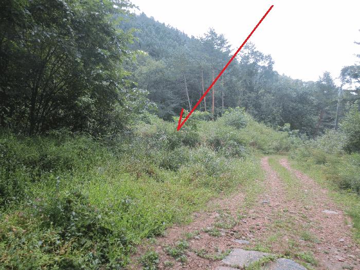 강원특별자치도 인제군 인제읍 하추리 303 전 경매 사진 1