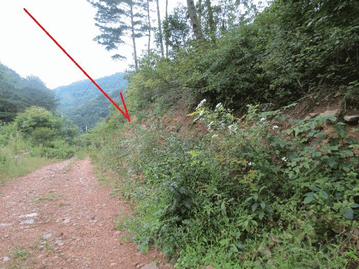 강원특별자치도 인제군 인제읍 하추리 303 전 경매 사진 2