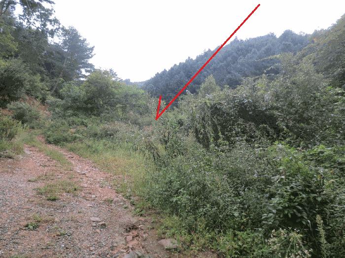 강원특별자치도 인제군 인제읍 하추리 303 전 경매 사진 4