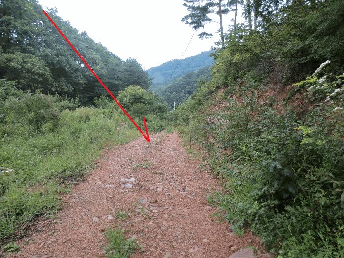 강원특별자치도 인제군 인제읍 하추리 303 전 경매 사진 5