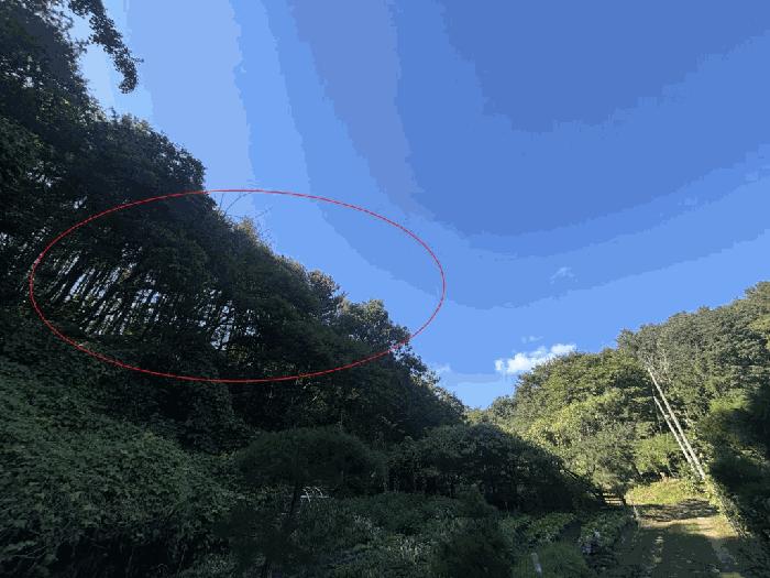 강원특별자치도 춘천시 남산면 방하리 261-2 임야 경매 사진 1