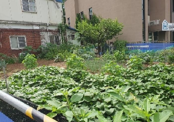 경기도 평택시 신장동 693-68 대지 경매 사진 8
