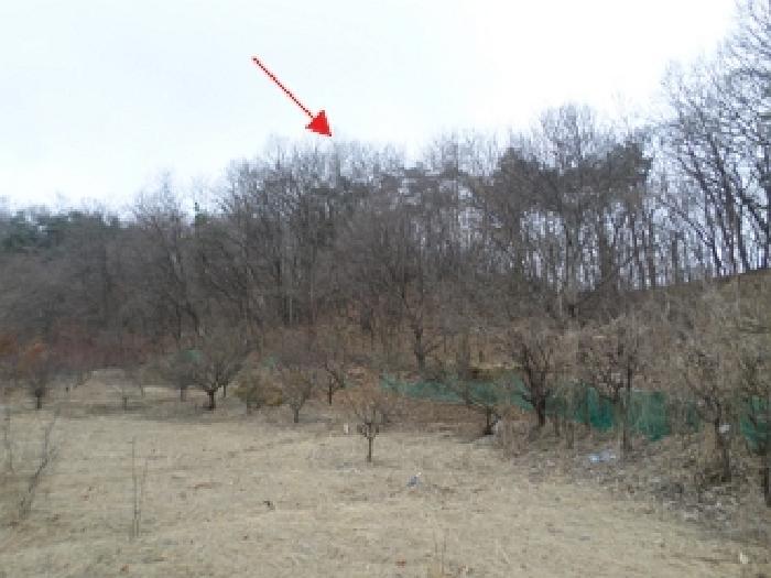 강원특별자치도 횡성군 우천면 문암리 82 임야 경매 사진 3