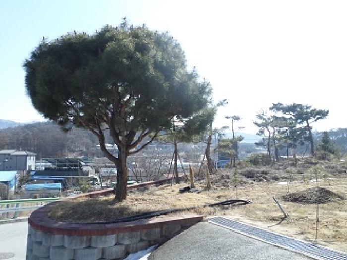 강원특별자치도 원주시 판부면 서곡리 544-2 근린시설 경매 사진 28