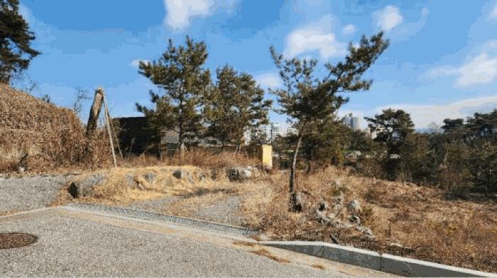 강원특별자치도 원주시 판부면 서곡리 544-2 근린시설 경매 사진 6