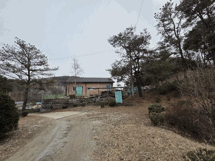 강원특별자치도 원주시 소초면 교항리 874-2 임야 경매 사진 1