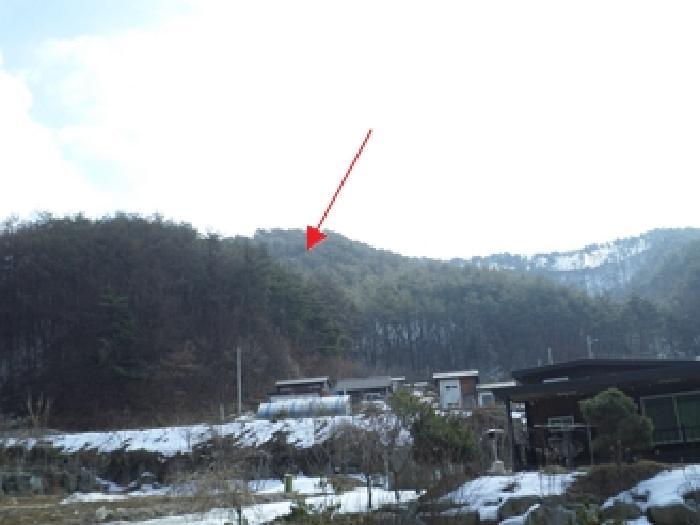 강원특별자치도 횡성군 청일면 유동리 산53 임야 경매 사진 2