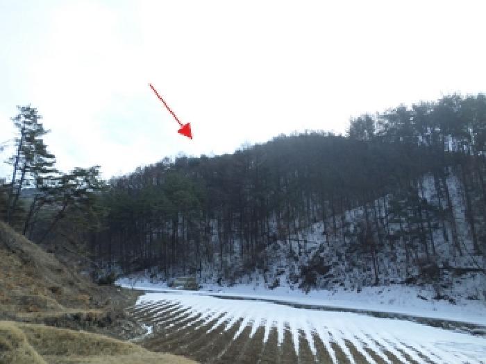 강원특별자치도 횡성군 청일면 유동리 산53 임야 경매 사진 3