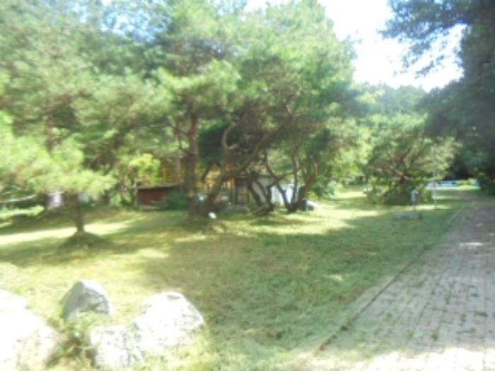 충청북도 충주시 중앙탑면 창동리 287-1 주택 경매 사진 13