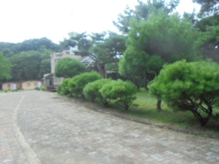 충청북도 충주시 소태면 양촌리 460-4 주택 경매 사진 9