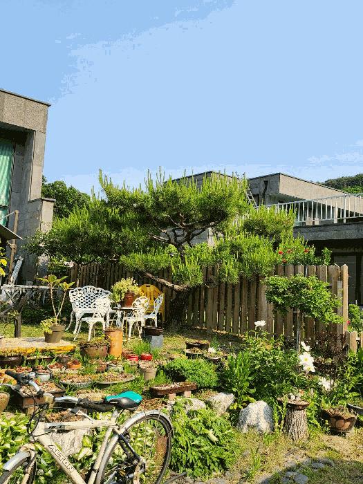충청북도 충주시 살미면 문강리 120 주택 경매 사진 7
