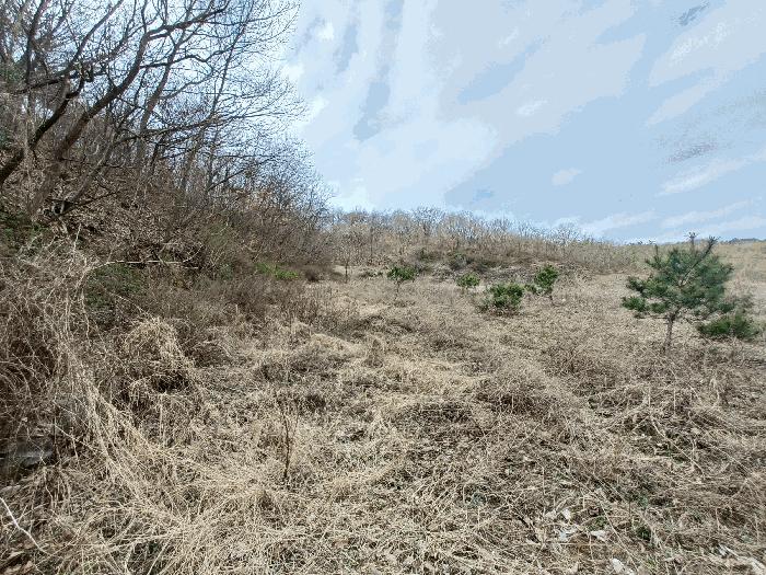 경상남도 남해군 창선면 대벽리 464 전 경매 사진 11