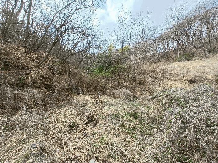경상남도 남해군 창선면 대벽리 464 전 경매 사진 4