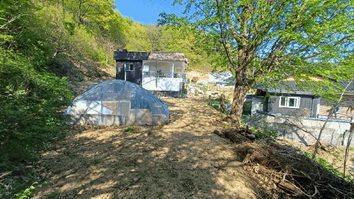 경상북도 봉화군 봉화읍 거촌리 530 대지 경매 사진 4