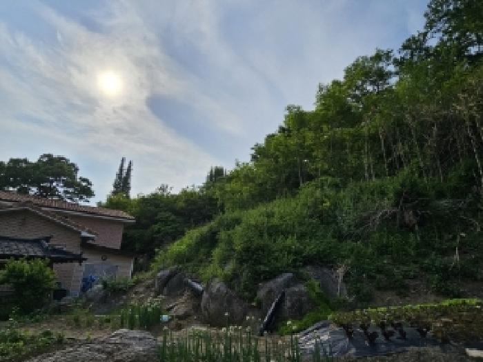 경상북도 봉화군 봉화읍 거촌리 530 대지 경매 사진 7