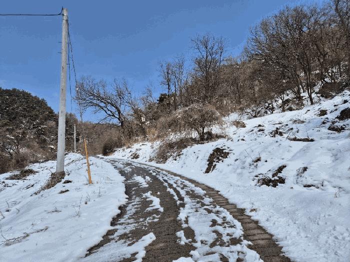 충청북도 충주시 엄정면 유봉리 2 임야 경매 사진 2