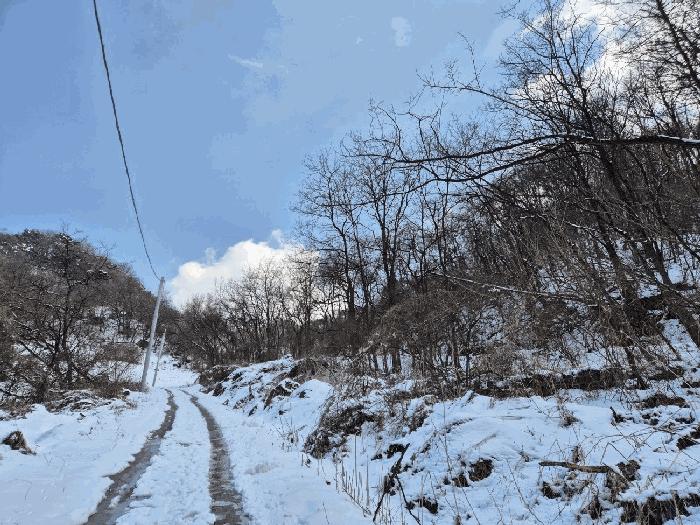 충청북도 충주시 엄정면 유봉리 2 임야 경매 사진 5