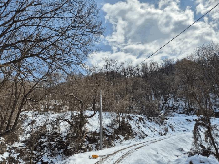 충청북도 충주시 엄정면 유봉리 2 임야 경매 사진 6