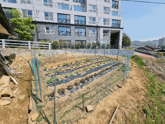 충청북도 충주시 금릉동 317-8 전 경매 사진 5
