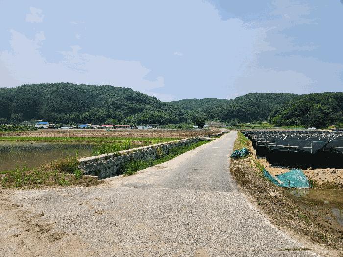 충청북도 충주시 앙성면 모점리 39 답 경매 사진 2