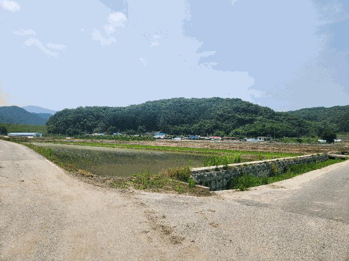 충청북도 충주시 앙성면 모점리 39 답 경매 사진 4