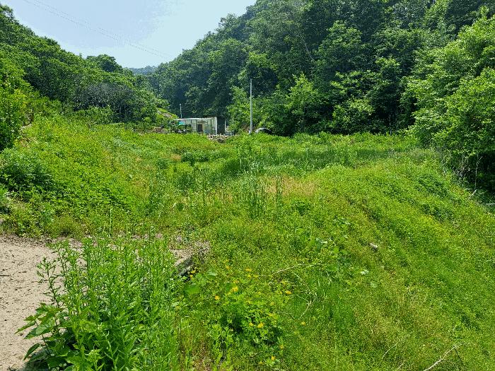 충청북도 충주시 답