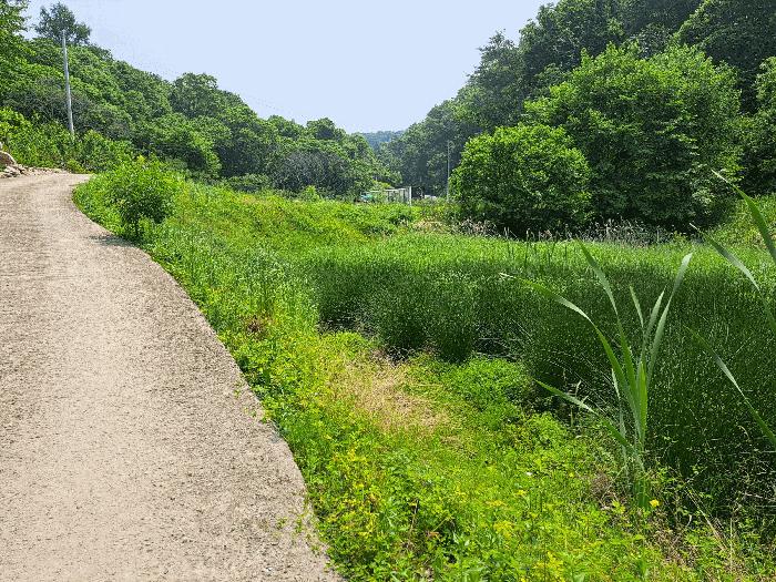 충청북도 충주시 소태면 주치리 540-4 답 경매 사진 9