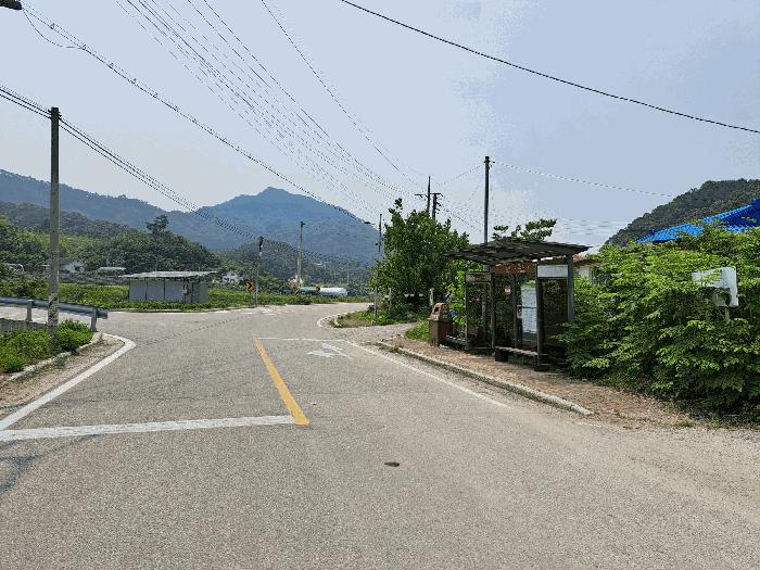 충청북도 충주시 소태면 주치리 541 답 경매 사진 8