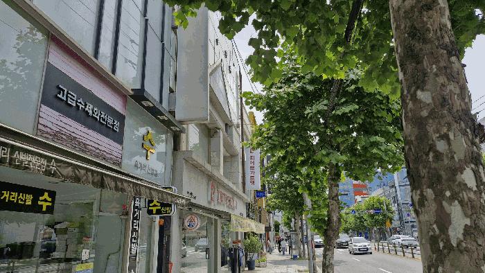 경상북도 포항시 북구 상원동 448-19 근린시설 경매 사진 6