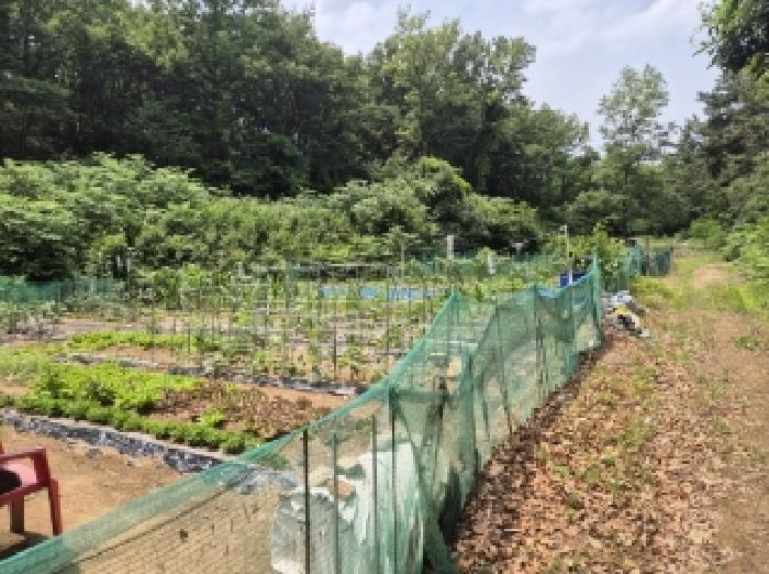 경상북도 포항시 남구 오천읍 원리 718-2 답 경매 사진 4