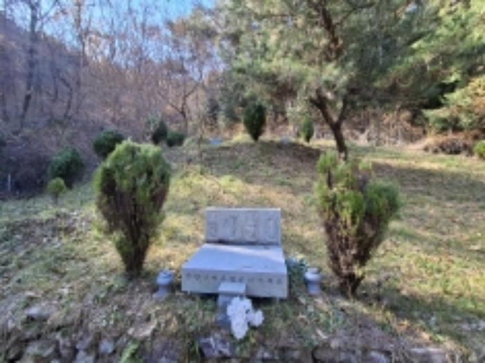 경상남도 사천시 사남면 화전리 48 답 경매 사진 13