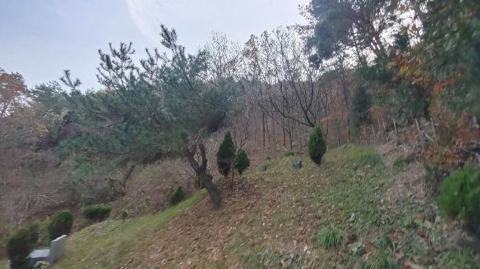 경상남도 사천시 사남면 화전리 48 답 경매 사진 4
