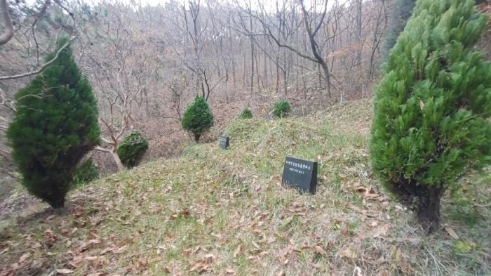 경상남도 사천시 사남면 화전리 1194-1 답 경매 사진 3