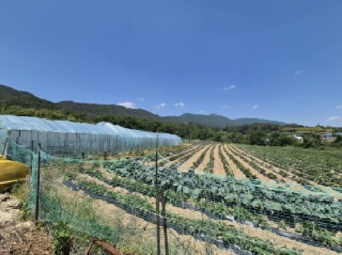 경상북도 포항시 북구 신광면 죽성리 990-1 전 경매 사진 10