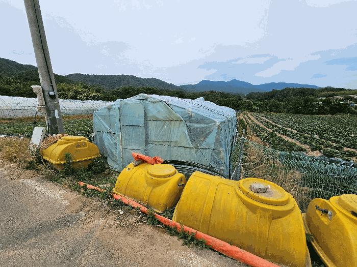 경상북도 포항시 북구 신광면 죽성리 990-1 전 경매 사진 2