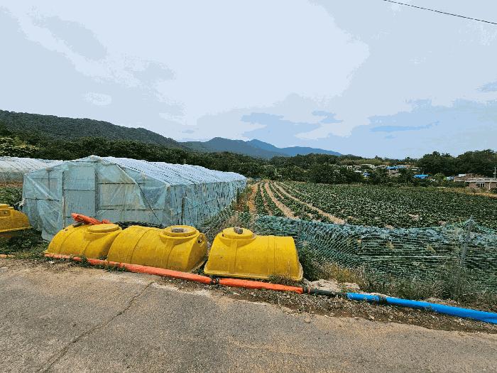 경상북도 포항시 북구 신광면 죽성리 990-1 전 경매 사진 3