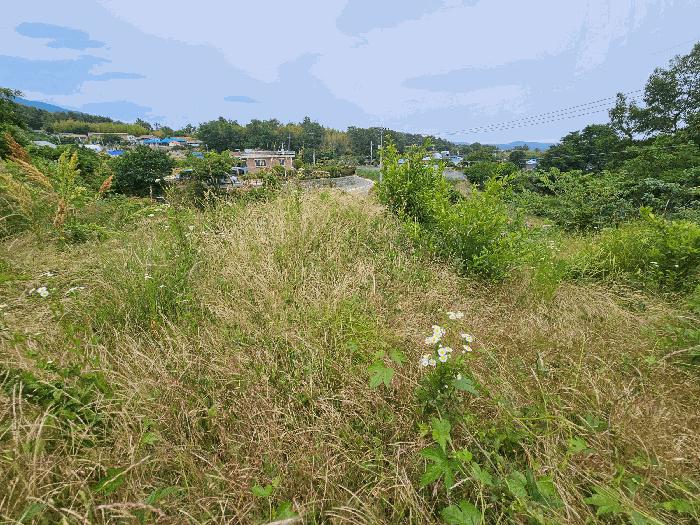 경상북도 포항시 북구 신광면 죽성리 990-1 전 경매 사진 5