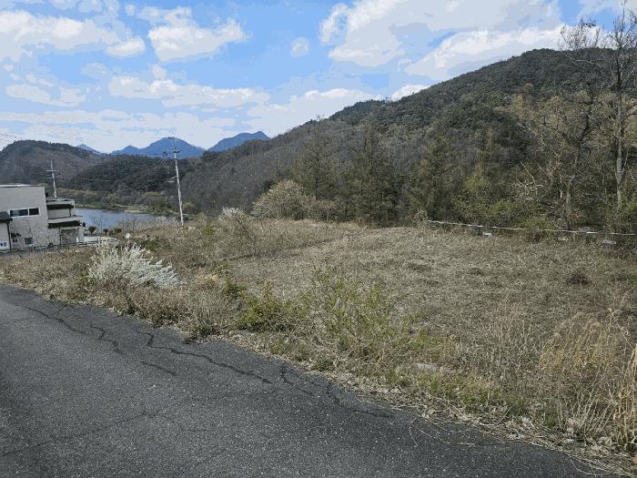 충청남도 금산군 제원면 용화리 124-10 임야 경매 사진 1
