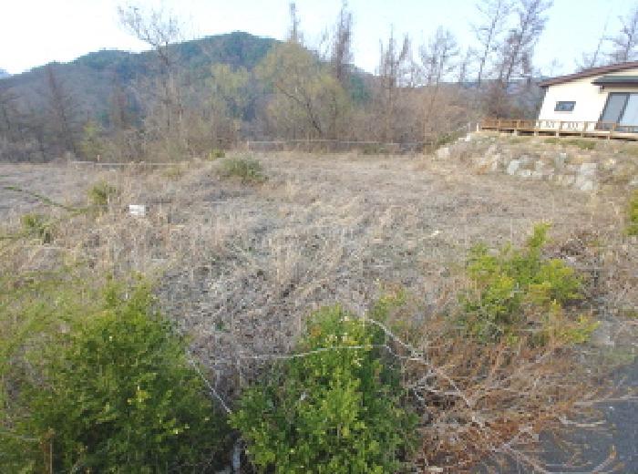 충청남도 금산군 제원면 용화리 124-10 임야 경매 사진 29