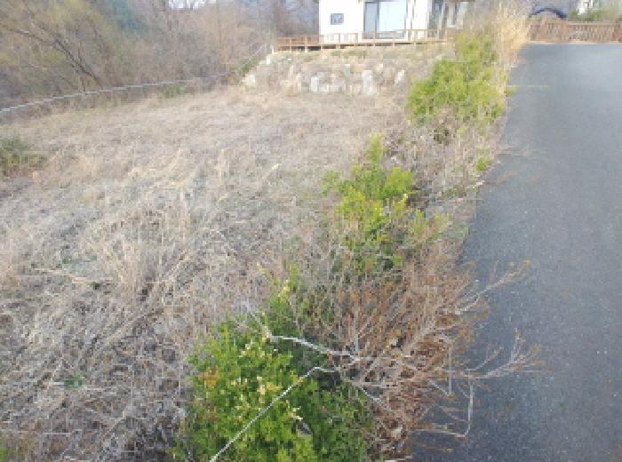 충청남도 금산군 제원면 용화리 124-10 임야 경매 사진 30