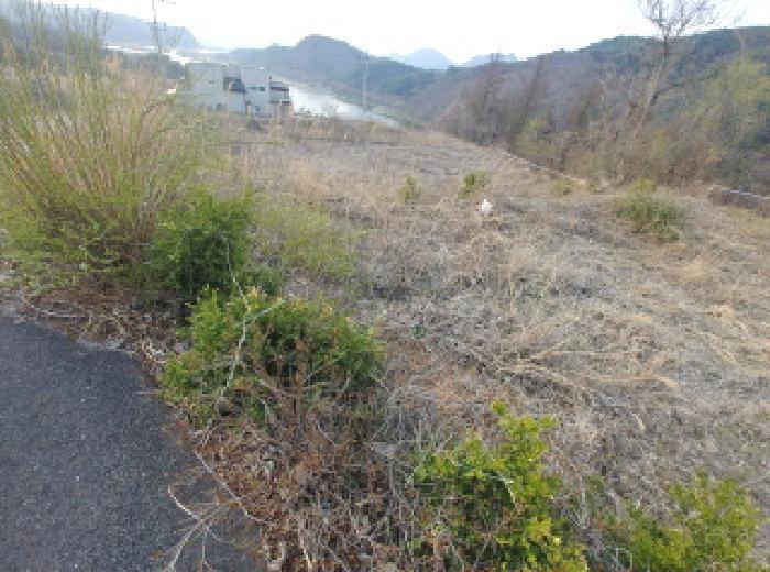 충청남도 금산군 제원면 용화리 124-10 임야 경매 사진 31