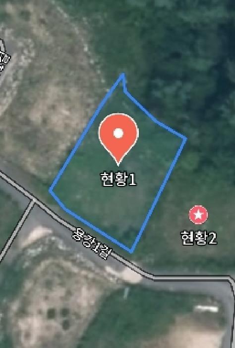 충청남도 금산군 제원면 용화리 124-10 임야 경매 사진 38