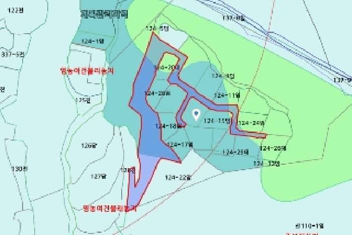 충청남도 금산군 제원면 용화리 124-10 임야 경매 사진 62