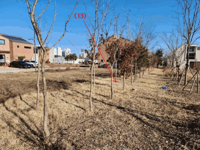 세종특별자치시 고운동 893-33 대지 경매 사진 18