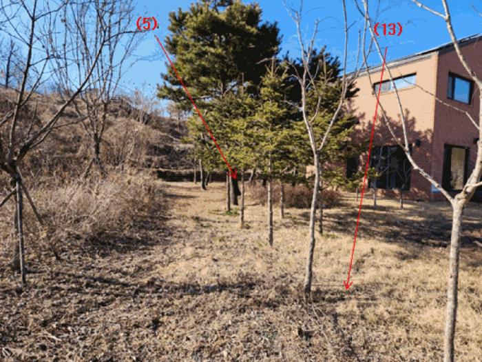 세종특별자치시 고운동 893-33 대지 경매 사진 2