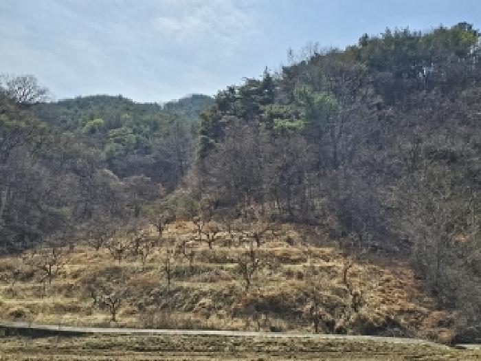 경상남도 산청군 신등면 간공리 18 답 경매 사진 19