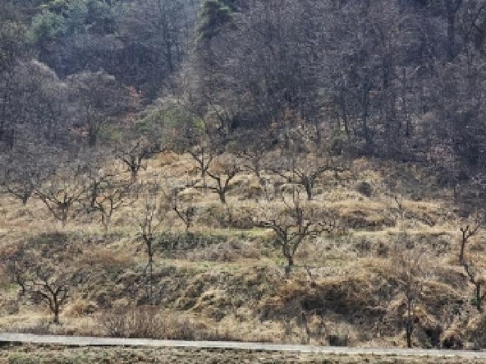 경상남도 산청군 신등면 간공리 18 답 경매 사진 20