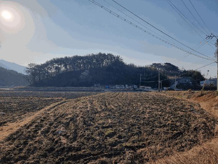 경상남도 하동군 고전면 전도리 240-1 임야 경매 사진 3